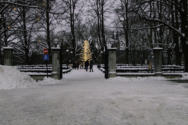 A gated garden with a tree lit up with a Christmas tree in the middle